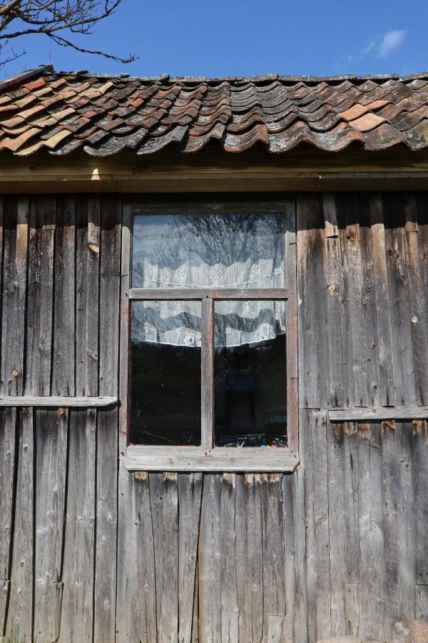 Dolina Ciszy - Dom Na Skraju Puszczy Knyszynskiej Rybniki Exterior foto