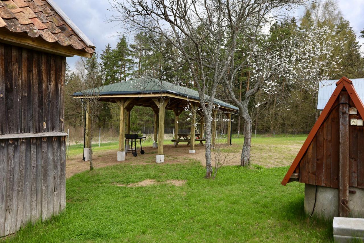 Dolina Ciszy - Dom Na Skraju Puszczy Knyszynskiej Rybniki Exterior foto